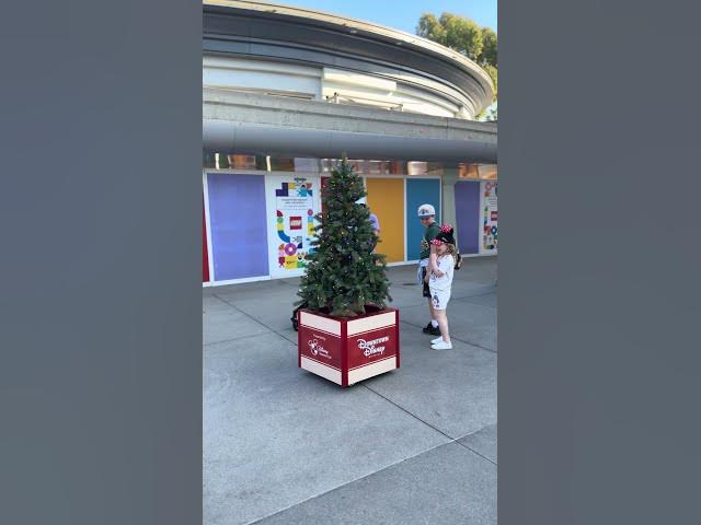 Video thumbnail for Douglas Fir!