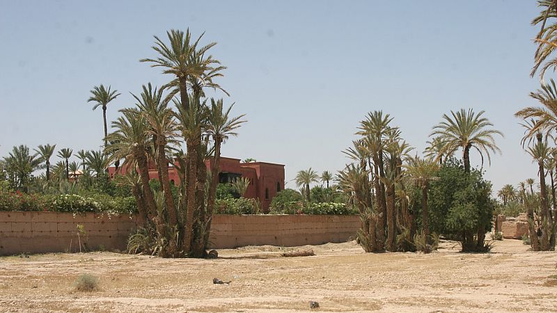 'Video thumbnail for Rising temperatures threaten the survival of Morocco's palm groves'