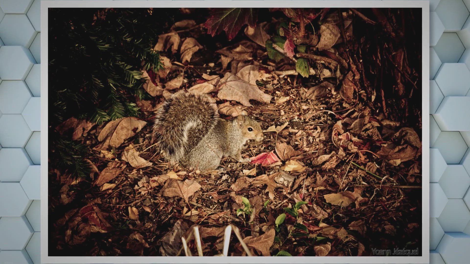 Video thumbnail for Start Your Journey With These 99 Inspiring Travel Quotes - The Bright Quotes