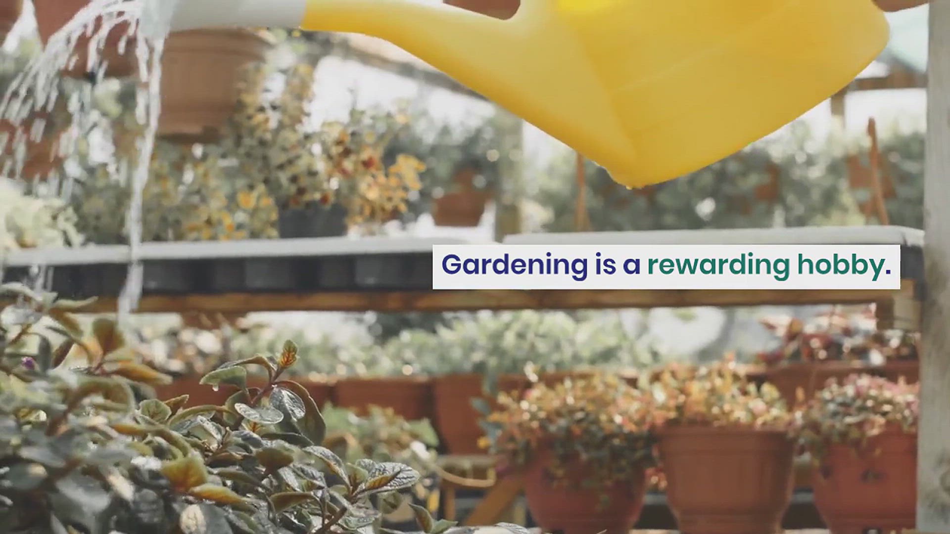 'Video thumbnail for How to Choose the Best Gardening Supplies'