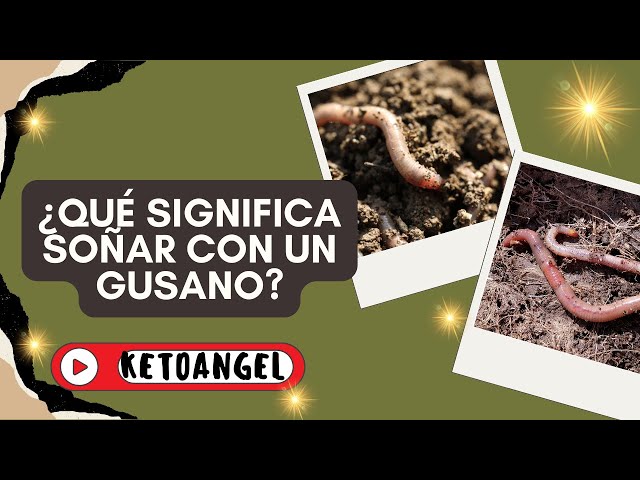 'Video thumbnail for ¿Qué significa soñar con un gusano?'