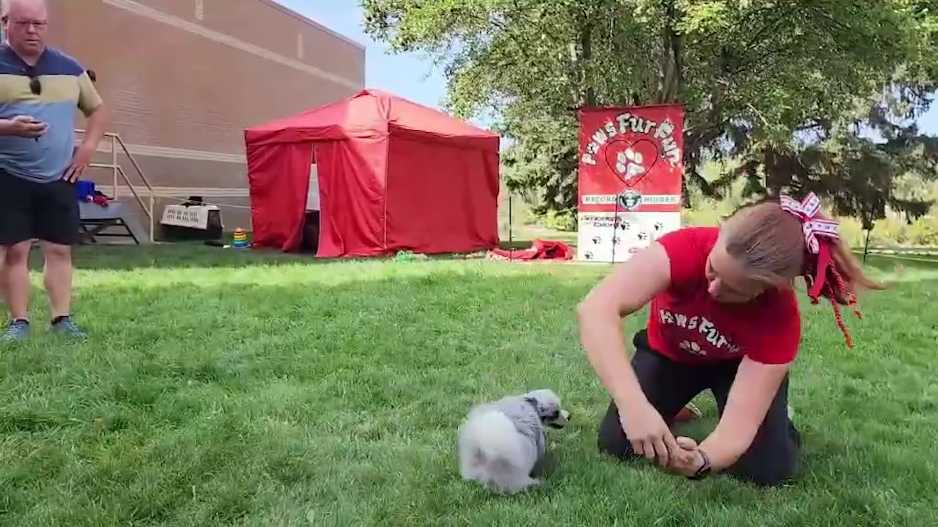 Video thumbnail for Fastest Time To Perform 10 Jumps Through A Humans Arms By A Dog
