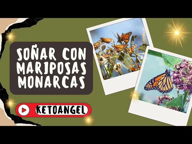 'Video thumbnail for Soñar con mariposas monarcas, simbolismo y significado'