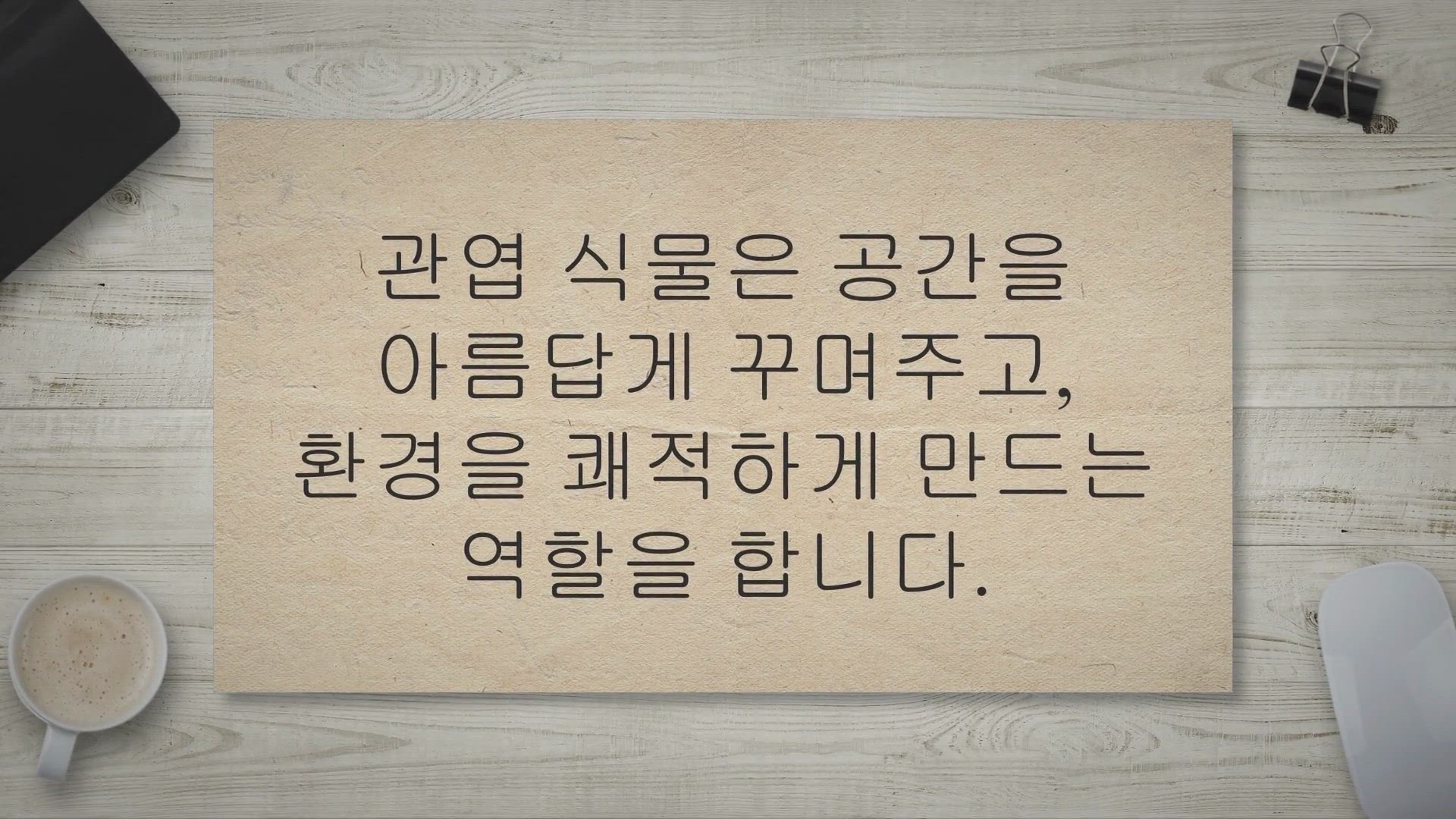 Video thumbnail for 관엽 식물 이름이 궁금하세요? 집에서 정원을 만드세요!