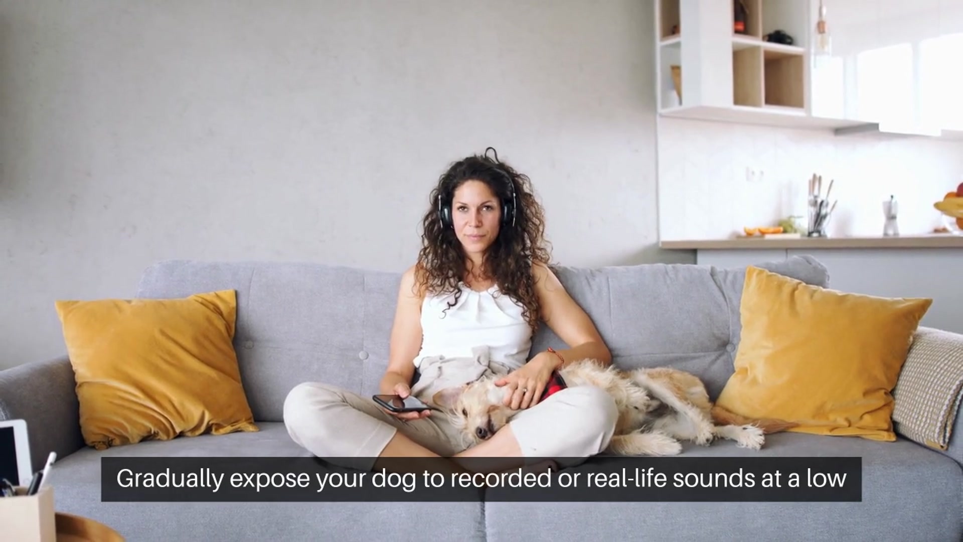 Video thumbnail for Addressing Fear of Loud Noises in Dogs