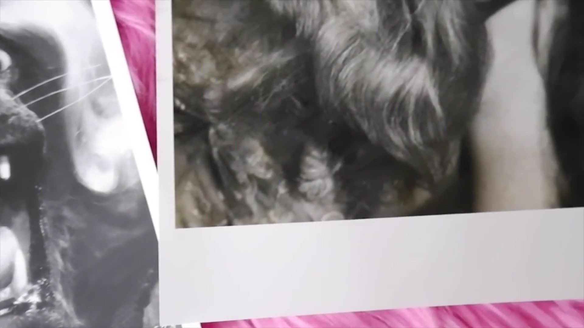 'Video thumbnail for What Happened to Veronica Lake'