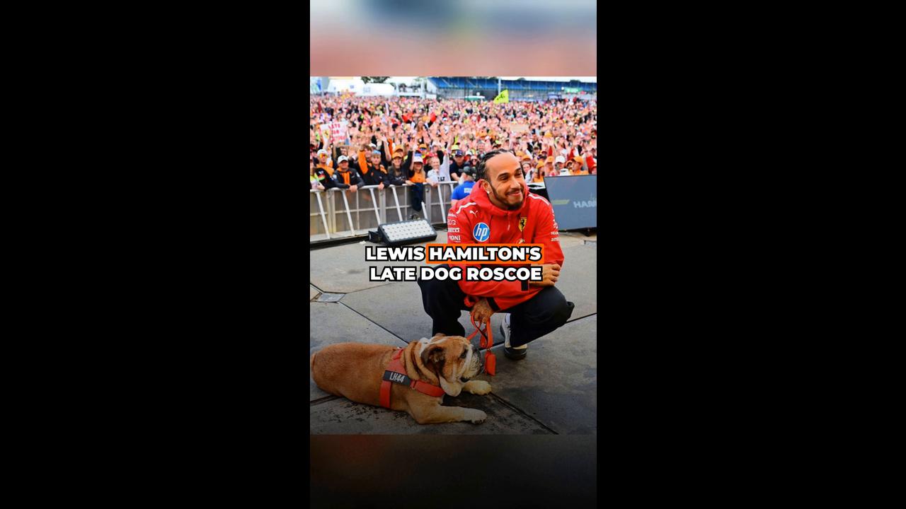 Video thumbnail for 2026 F1 drivers’ adorable pets