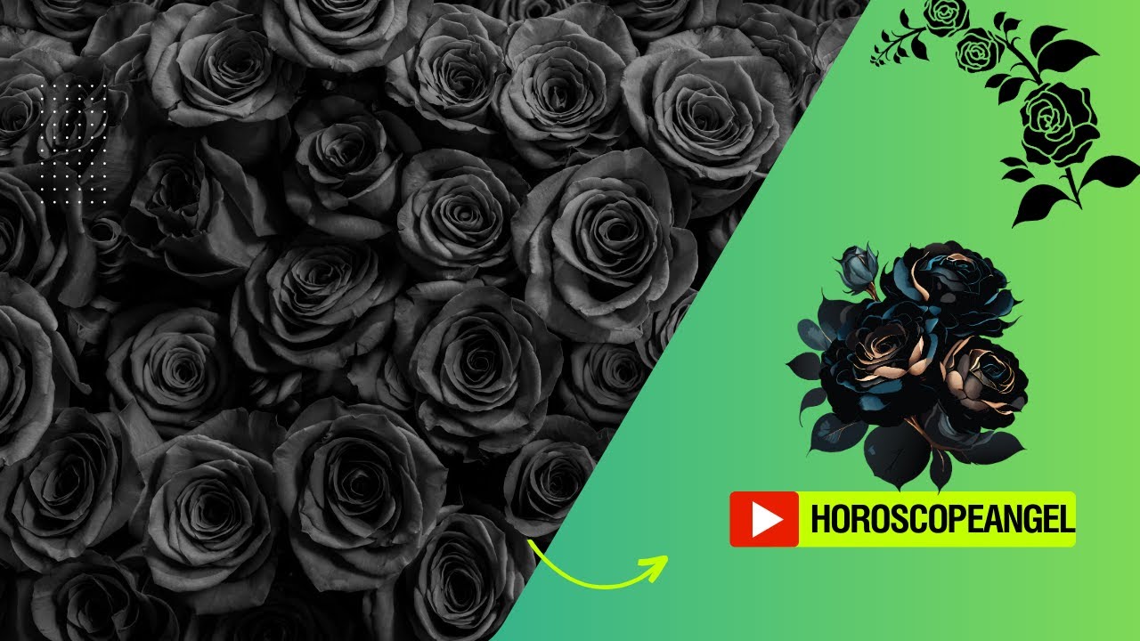'Video thumbnail for Soñar con flores negras: video blog'