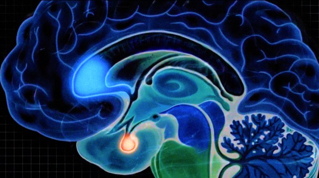 Video thumbnail for She studied extreme psychopaths. Here’s what it taught her about human nature