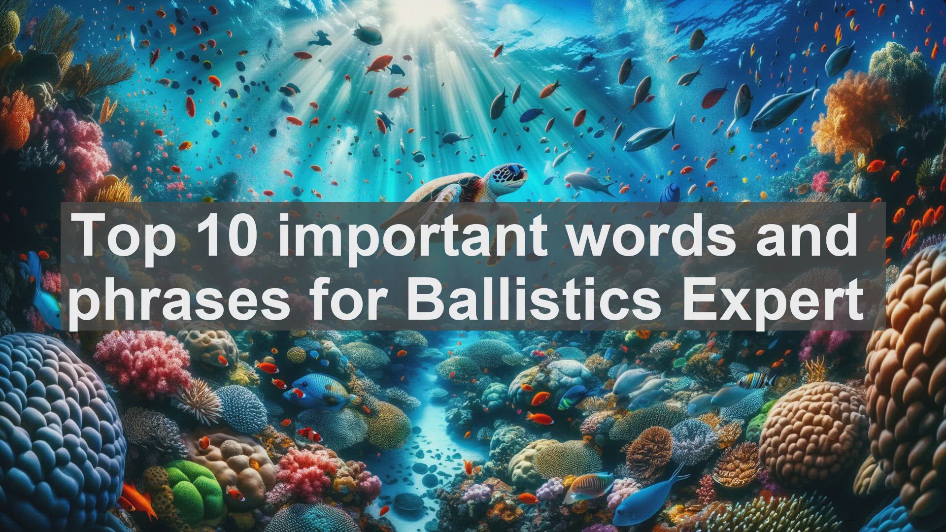 'Video thumbnail for Top 10 important words and phrases for Ballistics Expert'