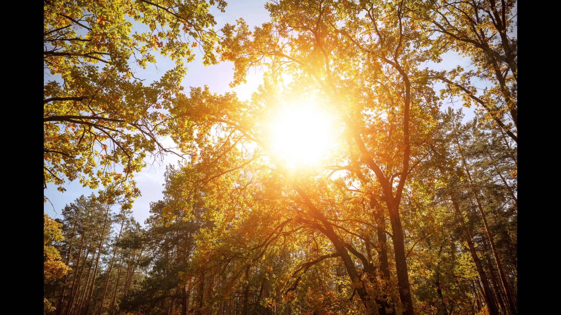 Video thumbnail for Importance of the Sun on Earth: influence on life