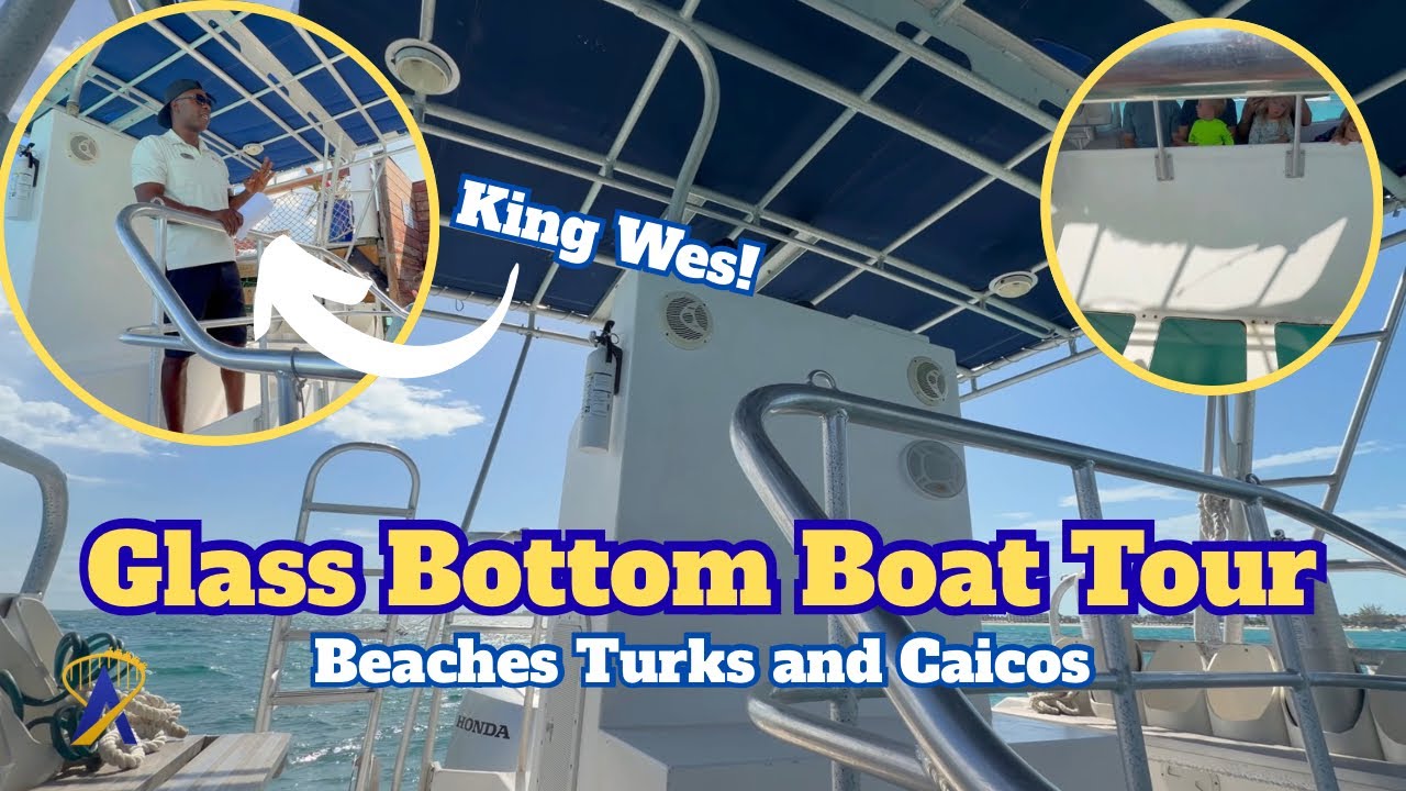 Video thumbnail for Glass Bottom Boat Tour Highlights from Beaches Turks and Caicos