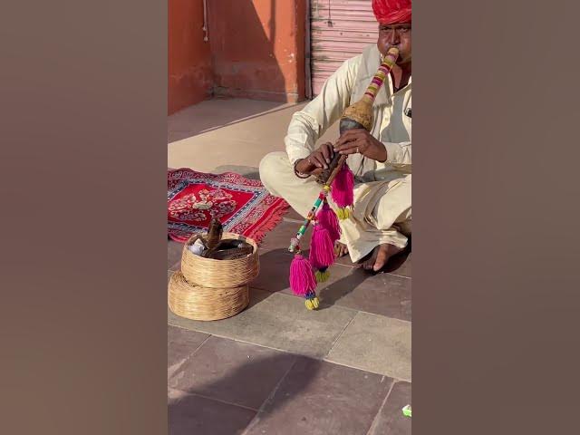 Video thumbnail for New video of hawa mahal π³π³, #music #phonk #dnb #jaipurtouristplace #shortvideo @shantivblog