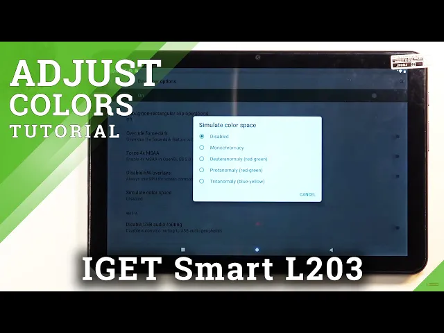 Video thumbnail for How to Adjust Colors in IGET Smart L203 – Personalize Display