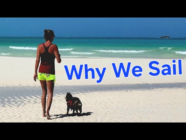 'Video thumbnail for Sail from Beautiful Shroud Cay to Exciting Pig Beach | Ep 67 #svaguaazul #caribbean  #exumas'