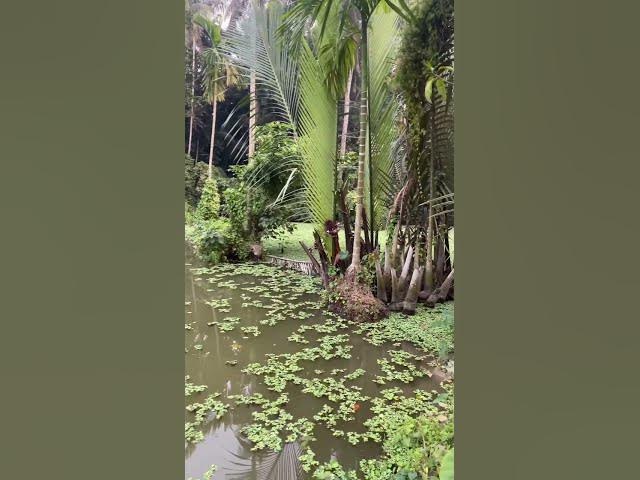 Video thumbnail for চোখের পানির এত কারিশমা | Islamic Motivational | Islamic Reminder #islamicreminder