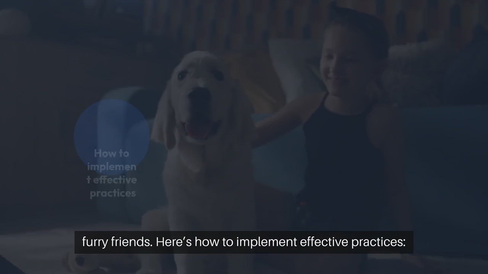 Video thumbnail for Pet Safe Home Security Practices