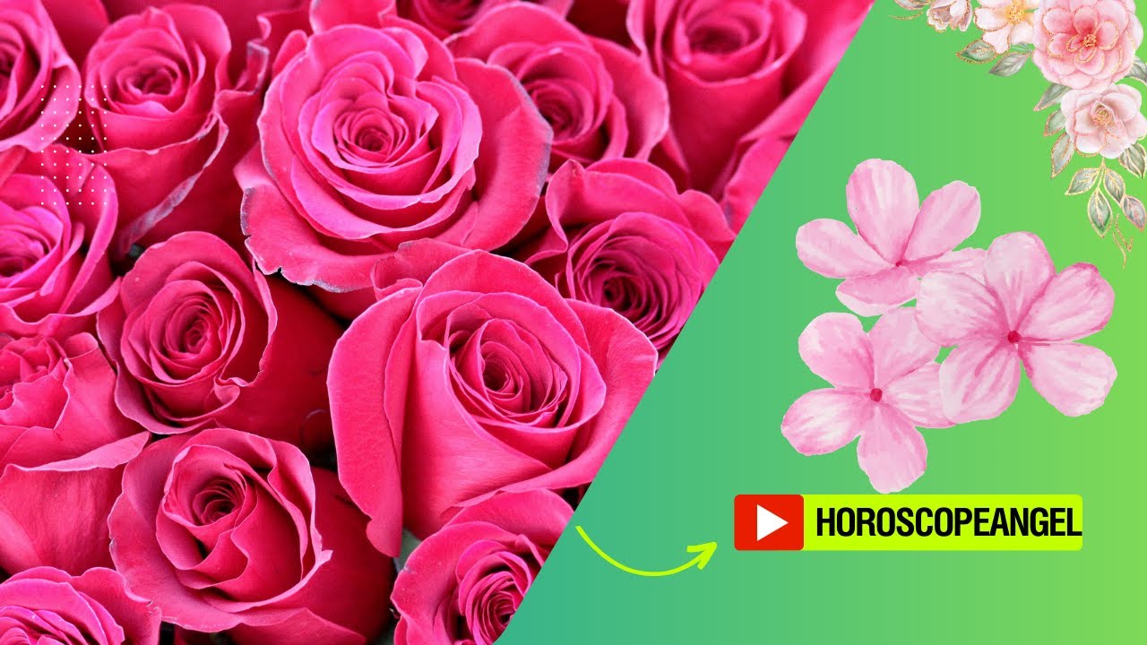 'Video thumbnail for ¿Qué significa soñar con flores rosadas? video blog'
