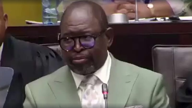 Video thumbnail for South Africa's finance minister slams Trump's genocide claims ahead of G20