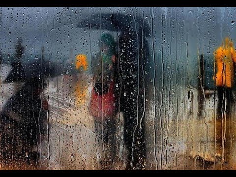 Video thumbnail for যারা বৃষ্টিতে ভিজেছিলো (আঠেরো পর্ব )