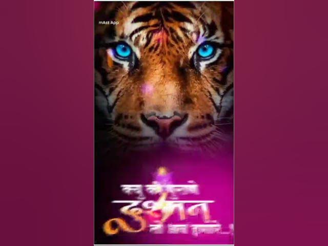 Video thumbnail for 😎🤟🤞🤙🏻👑