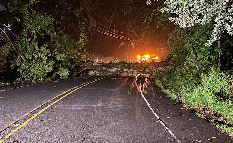 Video thumbnail for Fallen tree blocks Coles Avenue in Mountainside after strong storms