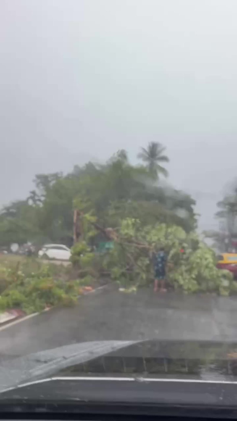Video thumbnail for Monsoon Chaos in Koh Samui as Tree Crashes onto Road