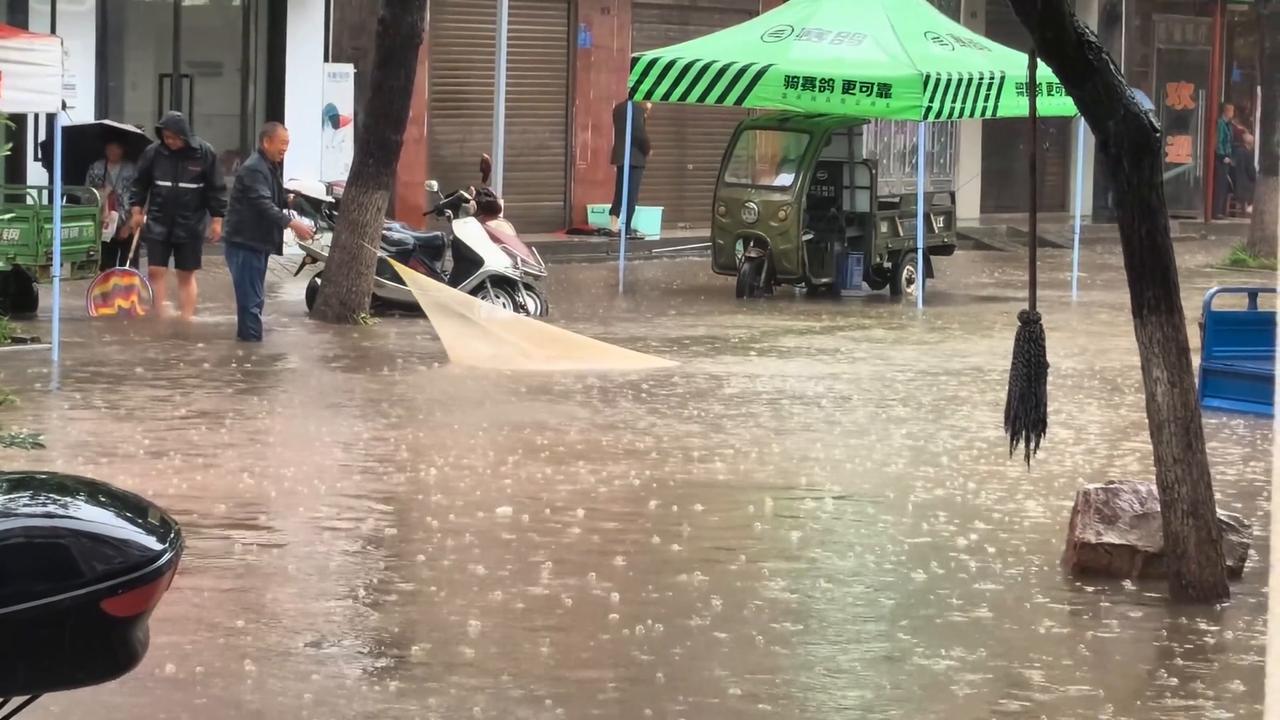 Video thumbnail for China: Heavy rain leaves Chinese road full of fish for elderly man to catch.