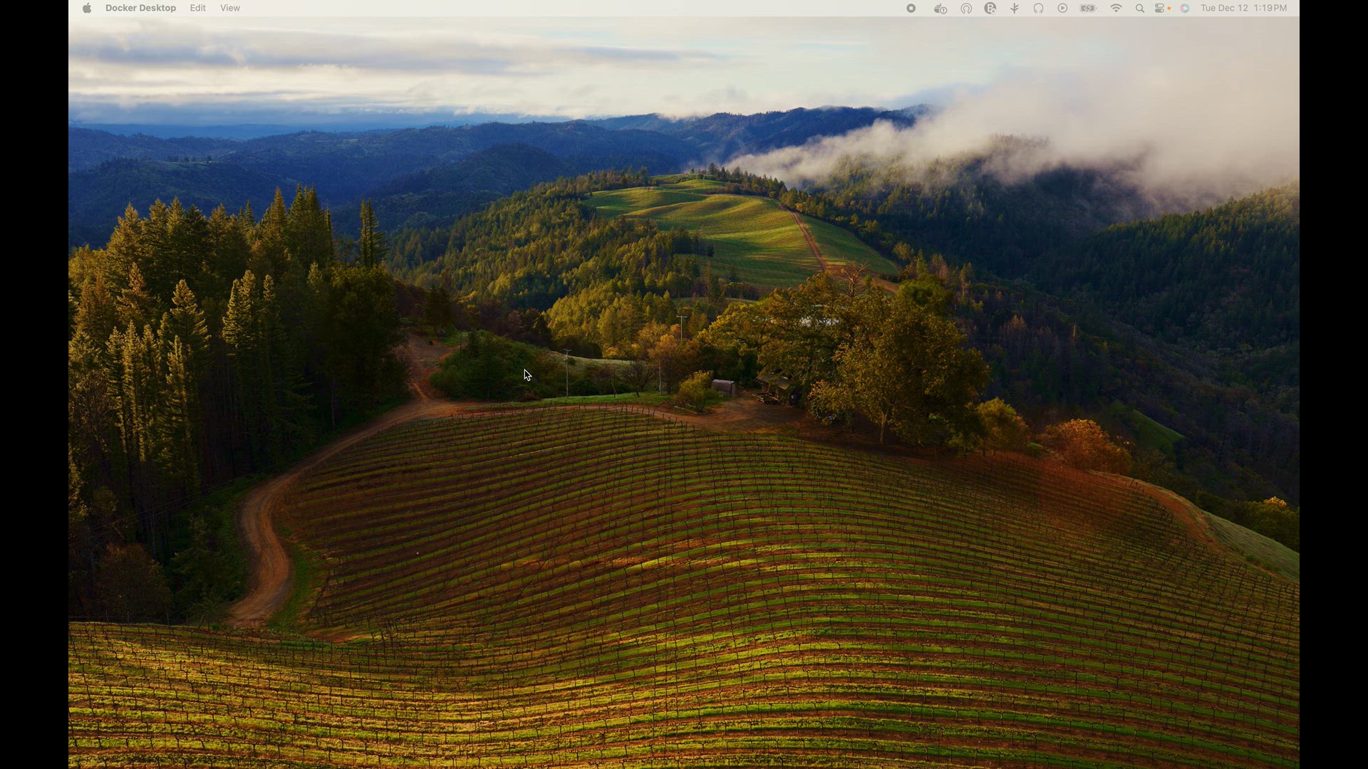 Video thumbnail for Screen Recording 2023-12-12 at 1.19.44 PM