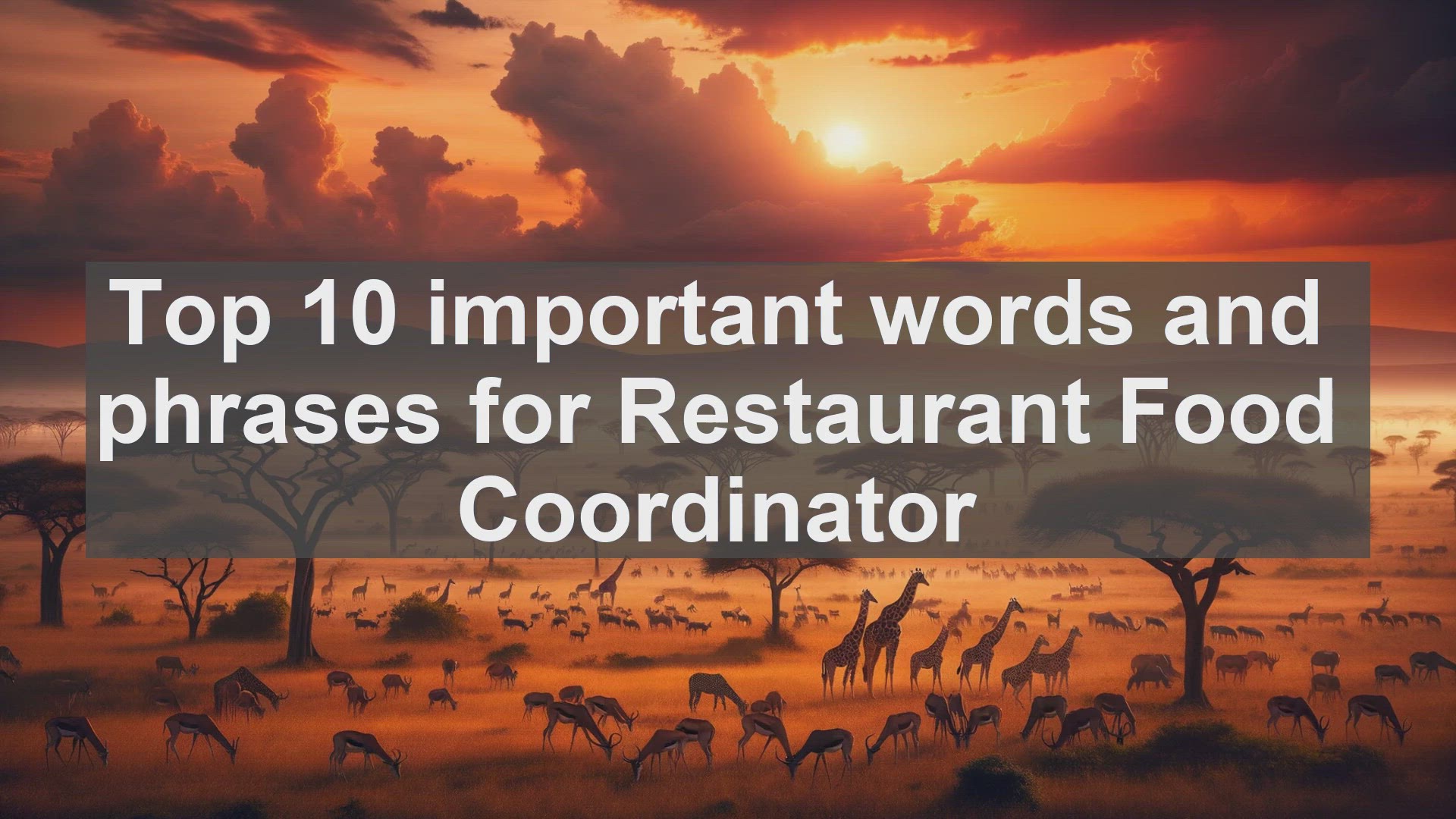 'Video thumbnail for Top 10 important words and phrases for Restaurant Food Coordinator'