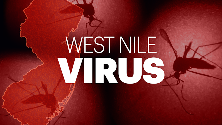 Video thumbnail for First Stratford mosquito pools test positive for West Nile virus