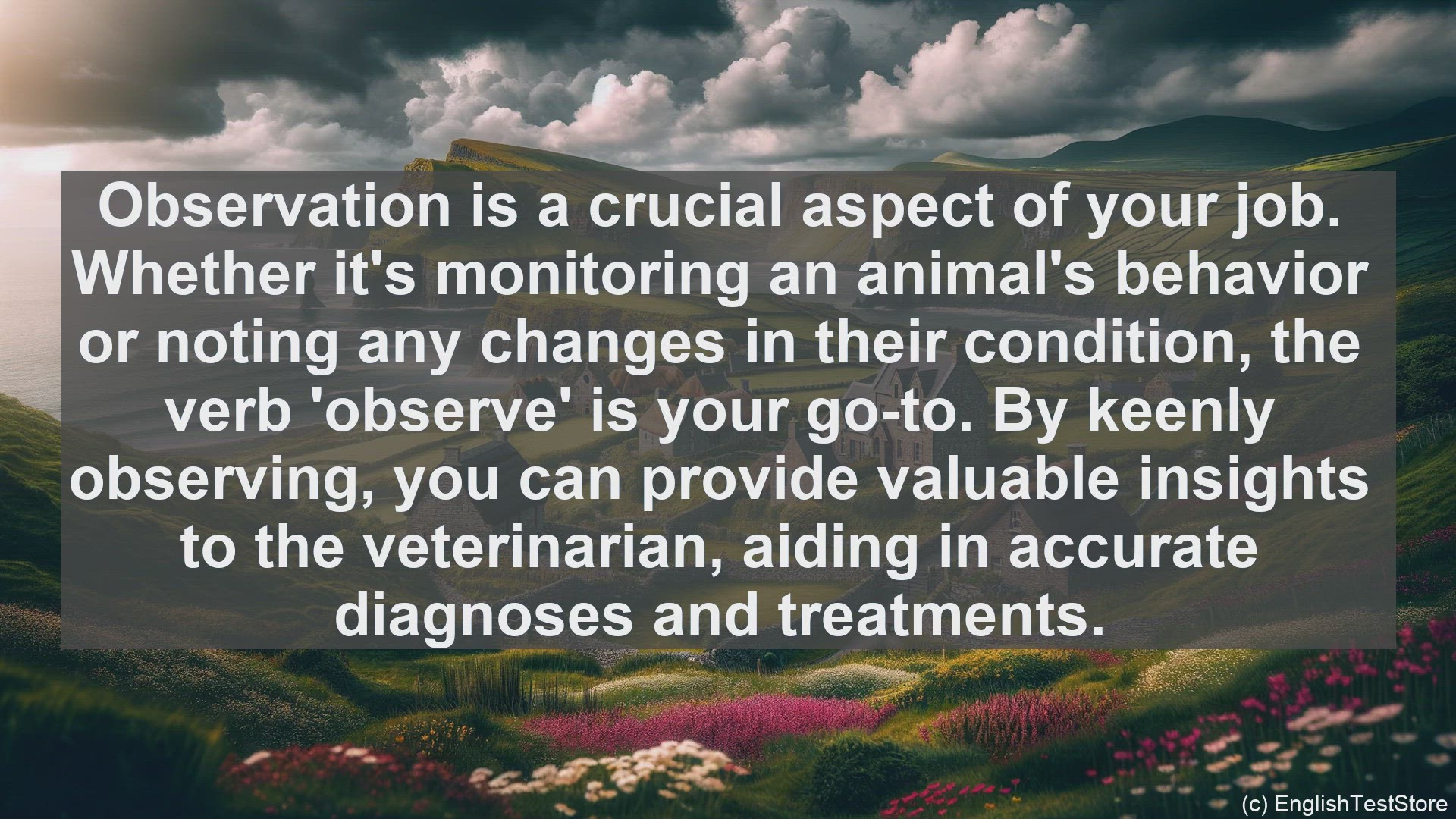 'Video thumbnail for Top 10 English Verbs for Veterinary Assistant'