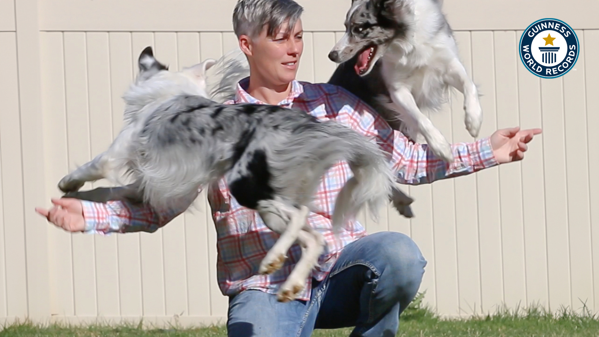 'Video thumbnail for Amazing dog tricks, Emily Larlham’s border collies set records'