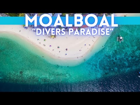 Video thumbnail for Moalboal Philippines Travel Guide 4K