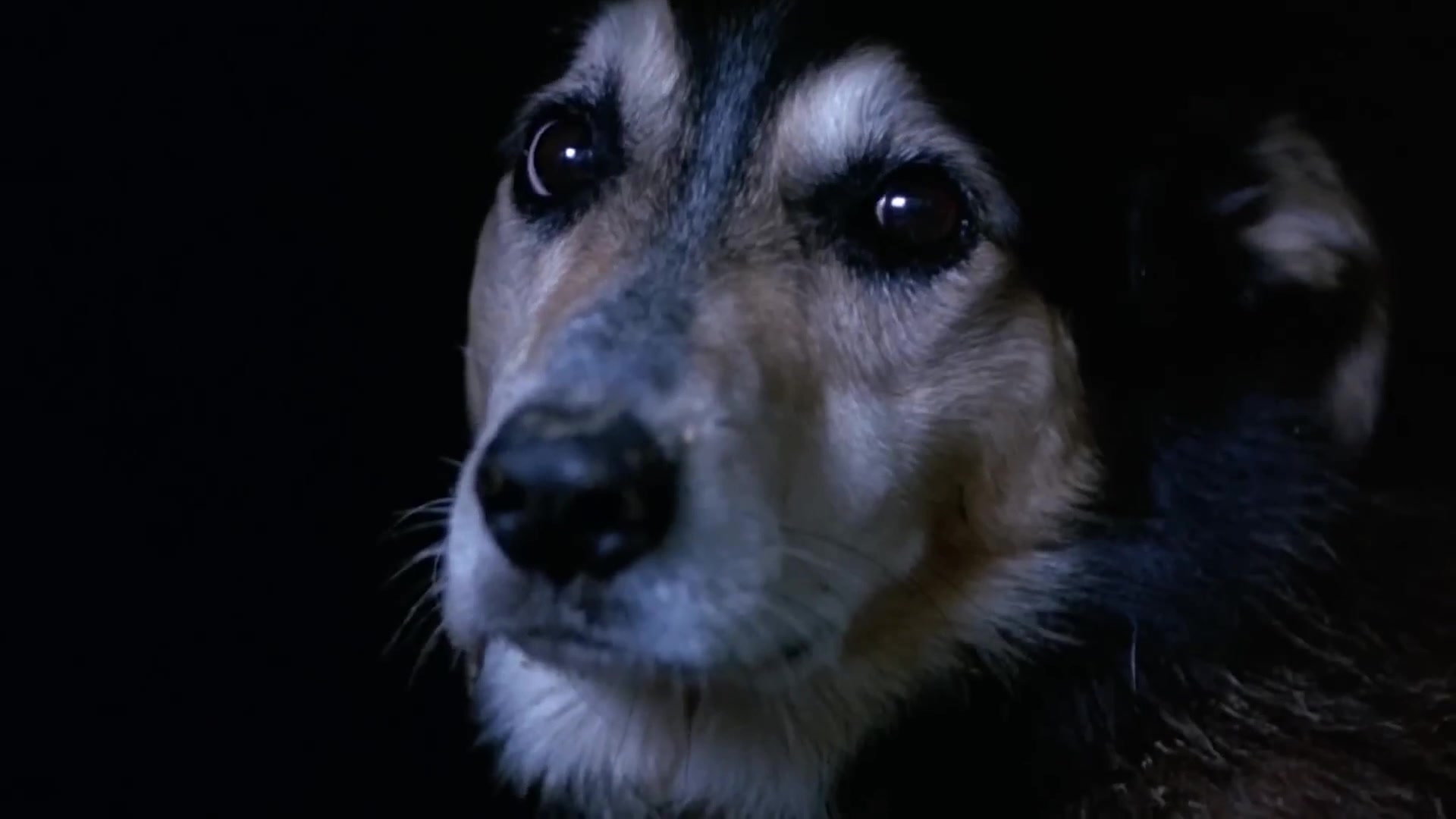 Video thumbnail for Actors Who Made Their Big Comeback In A Superhero Project