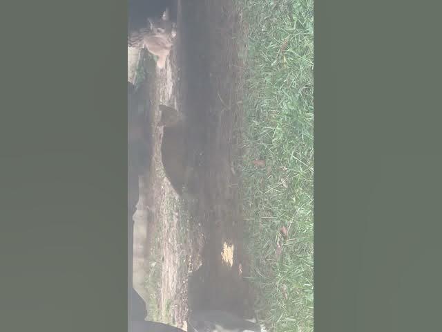 Video thumbnail for September 20, 2025