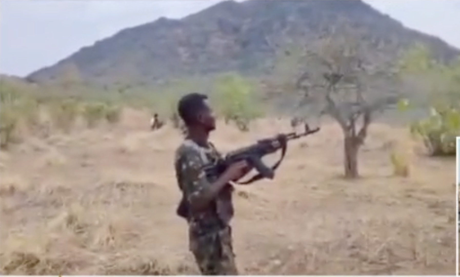 Video thumbnail for Sudan's Blue Nile State: 
Army recaptures vital area in volatile region