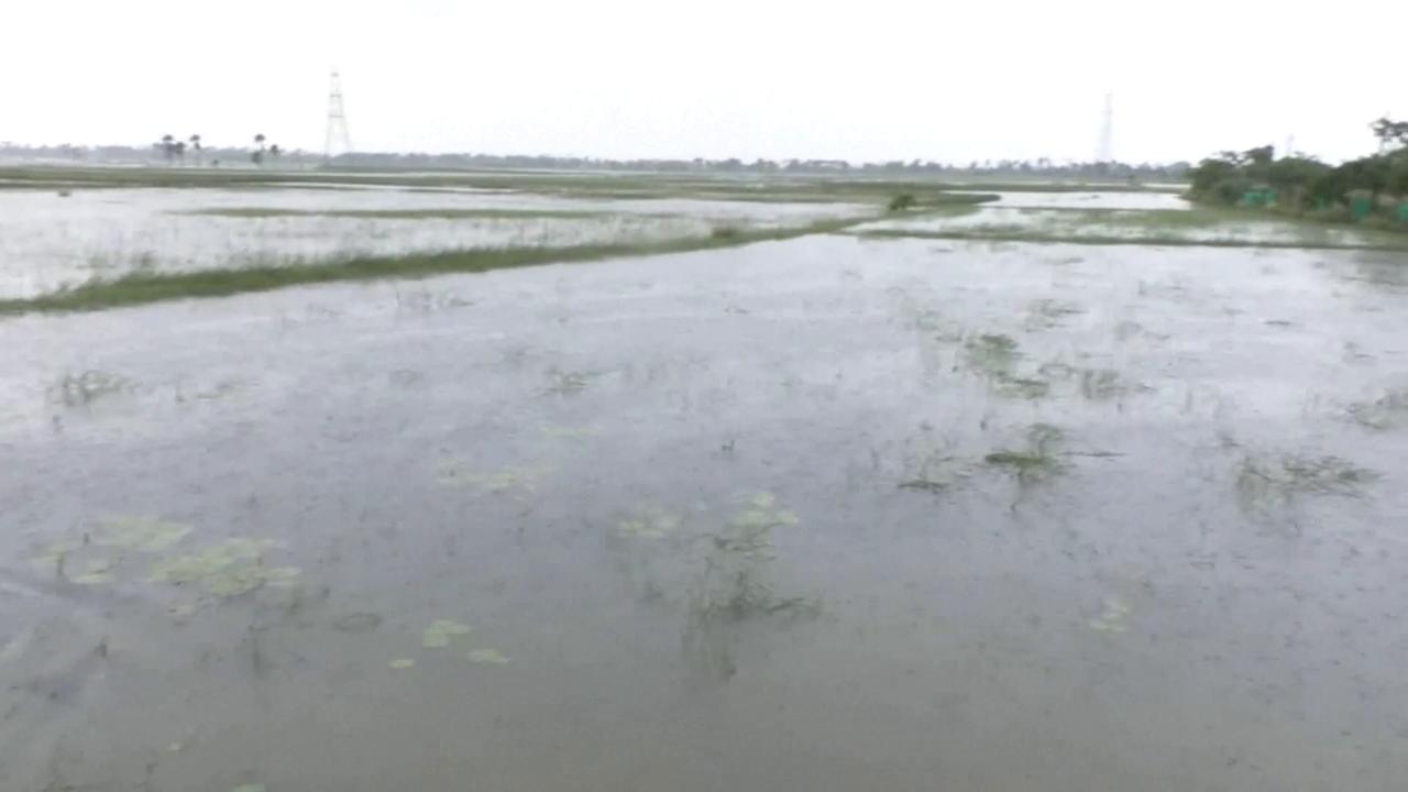 Video thumbnail for Switzerland: WMO warns of rising El Nino risk, urges preparedness.