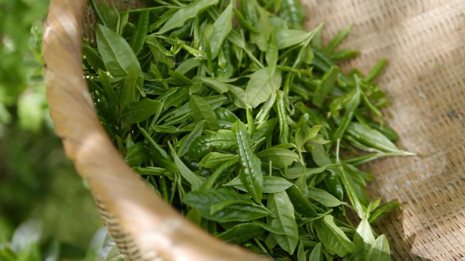 Video thumbnail for Health Benefits of Lemongrass Tea: Natural Relief and Wellness