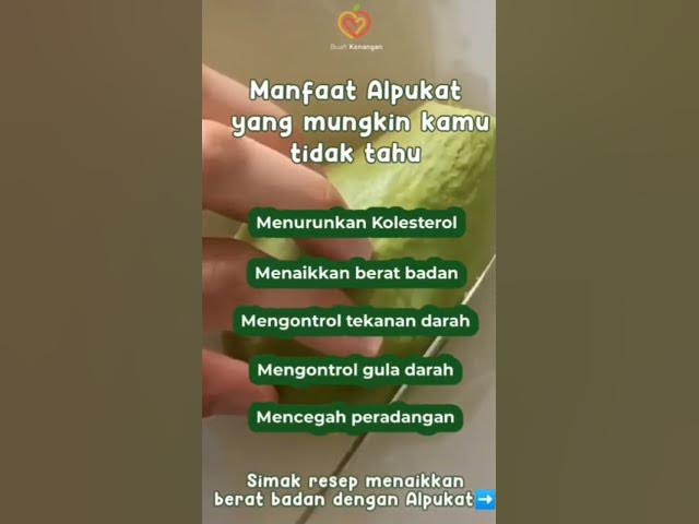 Video thumbnail for Alpukat buah nikmat buat sehat#shorts#buahalpukat