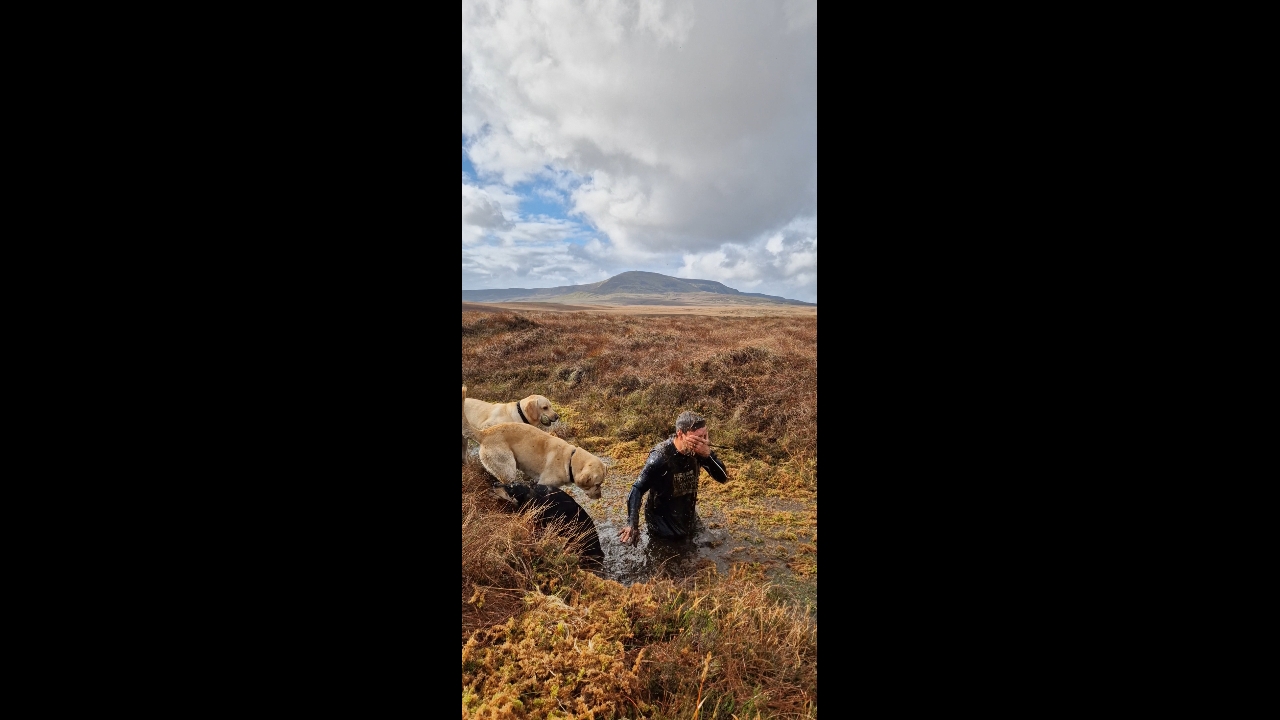 Video thumbnail for Person Submerges in Swamp as Dogs Watch in Swanlinbar, Ireland