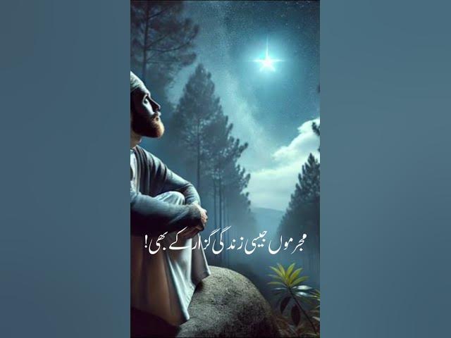 Video thumbnail for Naram Dil log #islamicvideo #unfrezzmyaccount #viral