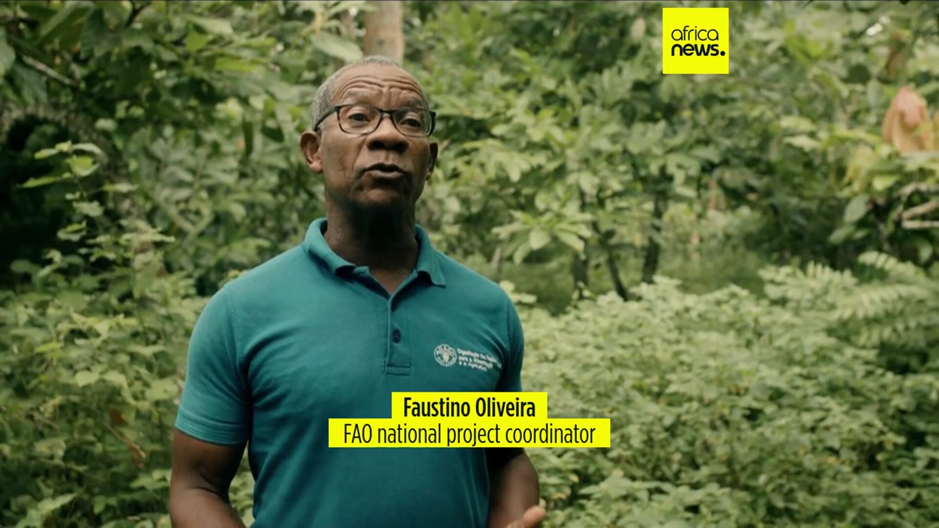 'Video thumbnail for Sao Tomé and Principé: UN Experts help protect cocoa plantations'