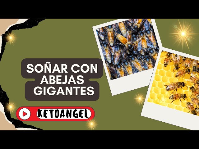 'Video thumbnail for Soñar con abejas gigantes, qué significa'
