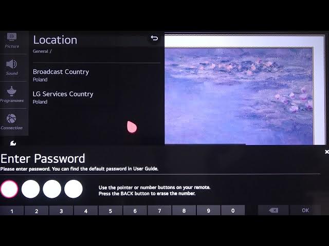 Video thumbnail for LG NanoCell TV - How to Change Region? LG 4K LED Smart TV (49NANO867NA)