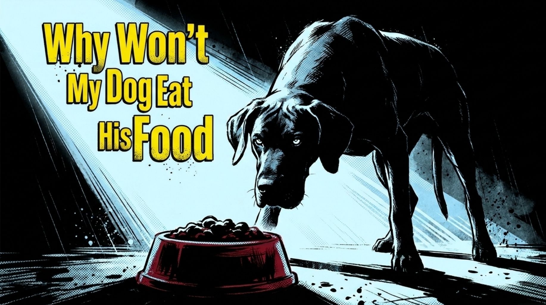 Video thumbnail for Why Dogs Refuse to Eat?