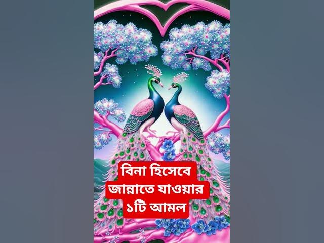 Video thumbnail for বিনা হিসেবে জান্নাতে যাওয়ার ১টি আমল#shorts #viral#sheikh_ahmadullah#islamicalortips