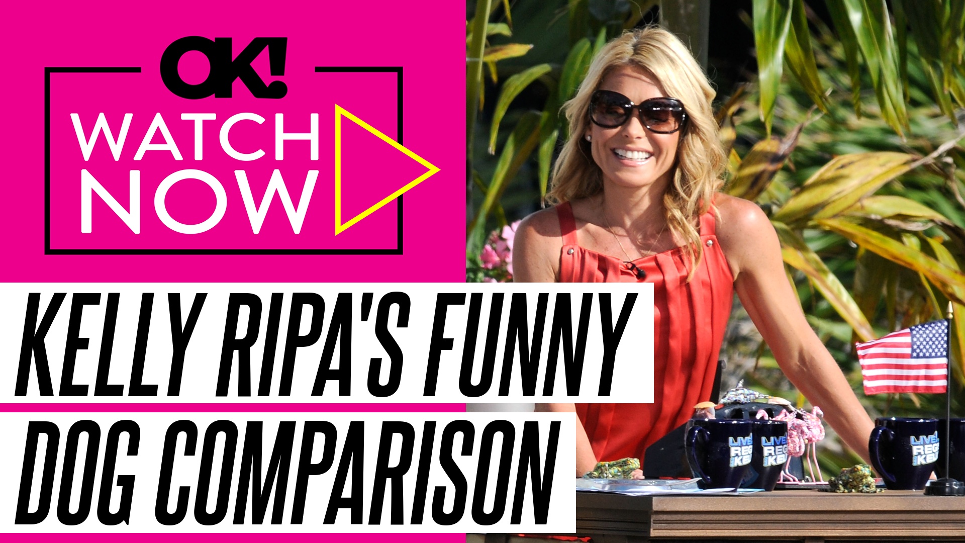 Video thumbnail for Kelly Ripa Thinks Husband Mark Consuelos 'Looks Like a Rottweiler': Watch