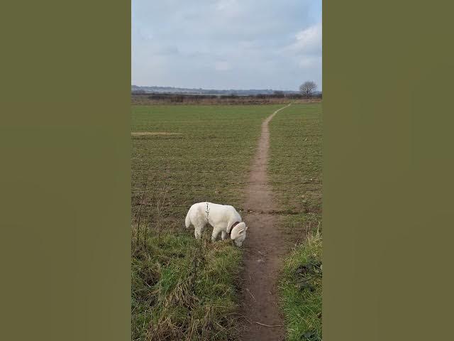 Video thumbnail for lazy days, exploring new ground with the Ghost