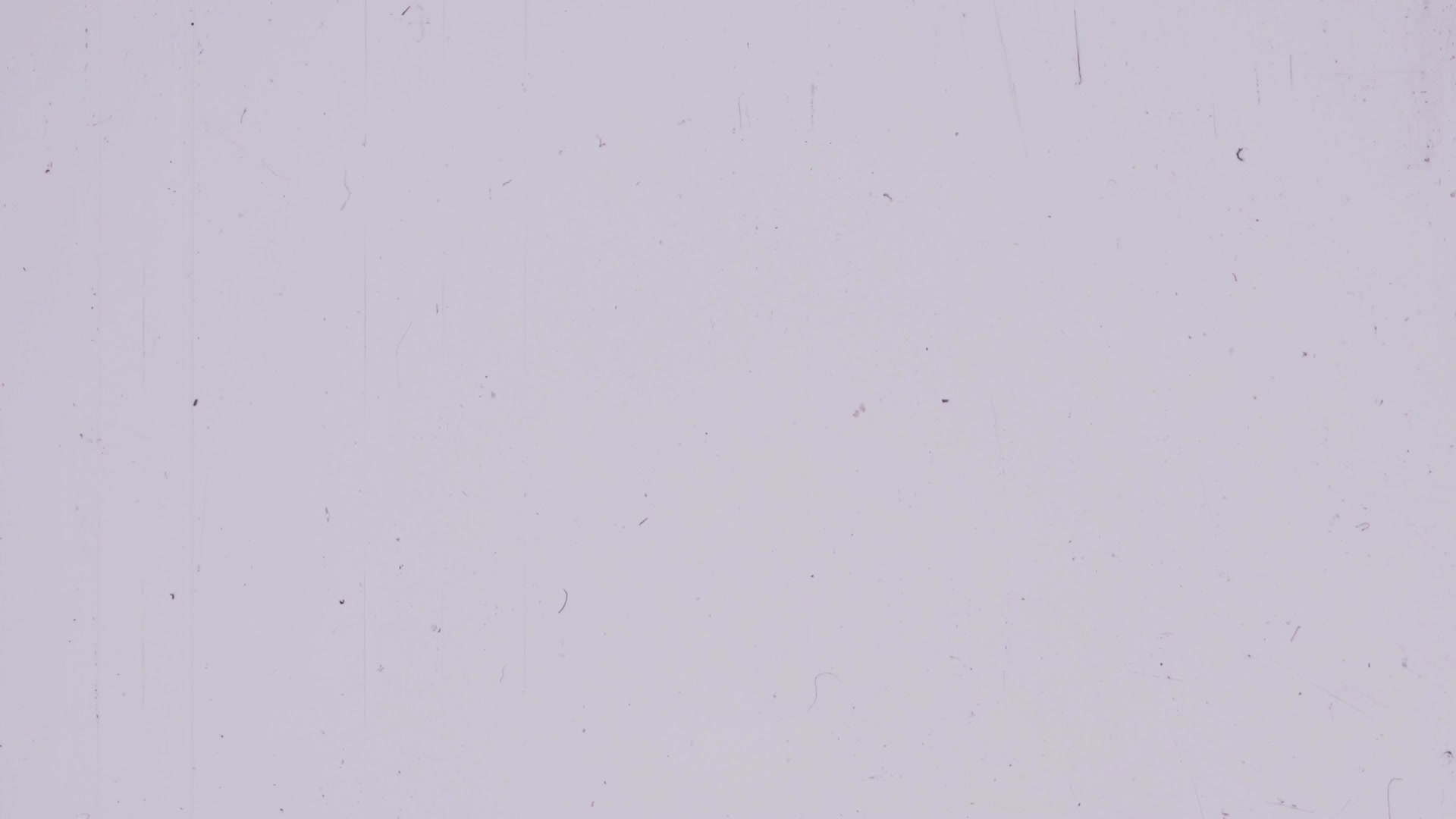 Video thumbnail for film-scratches-and-grain-texture-overlay-SBV-347714275-4K